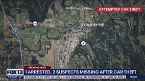 1 arrested, 2 suspects missing after car theft