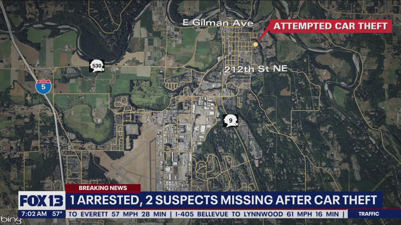 1 arrested, 2 suspects missing after car theft