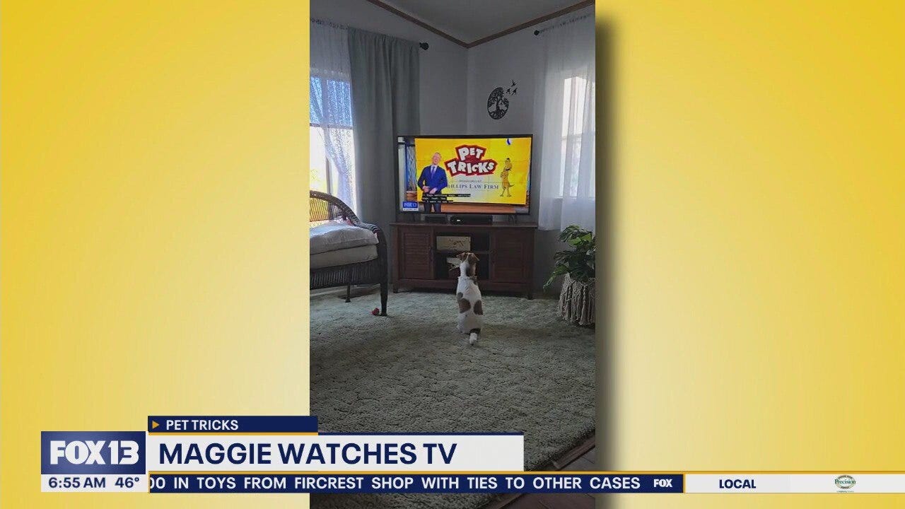 Pet Tricks for Friday, December 5