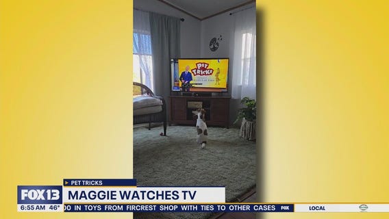 Pet Tricks for Friday, December 5