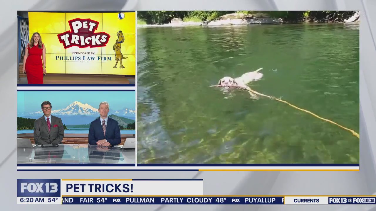 Good Day Pet Tricks for Monday, June 23