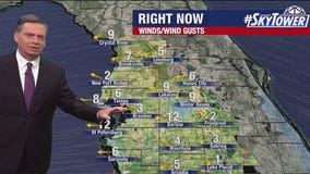 Tampa weather | Windy with passing showers