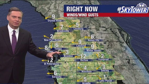Tampa weather | Windy with passing showers