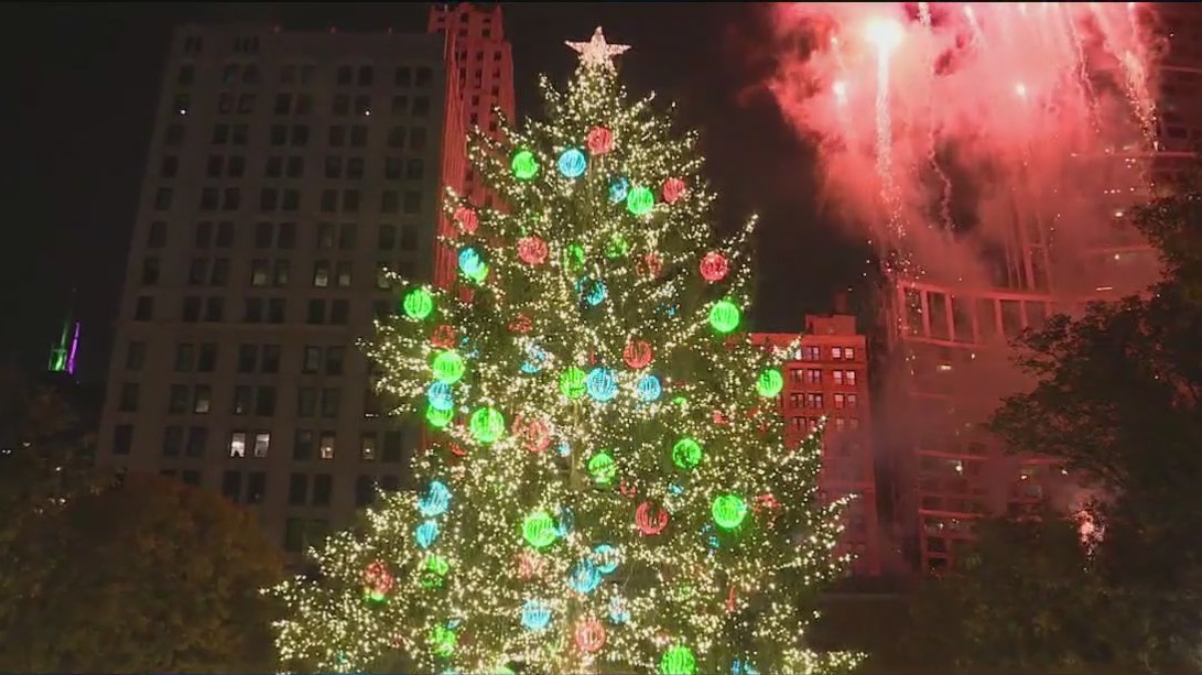 Christmas tree lights up for the holidays!