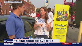 Talking Avo Tesla!