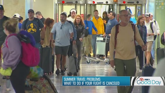 What to do if your flight gets canceled