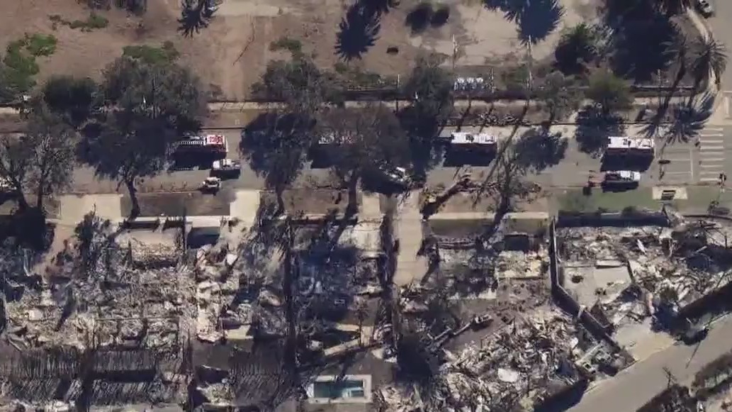 Angelenos continue navigating life amid wildfires