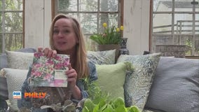 Tuesdays with Toni | Planting summer bulbs, veggies