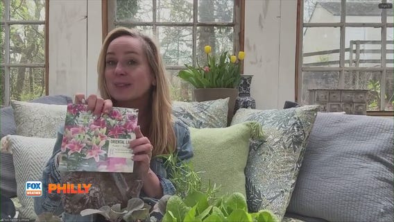 Tuesdays with Toni | Planting summer bulbs, veggies