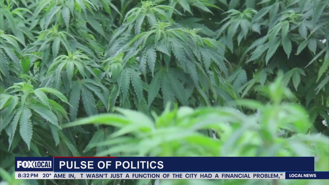 Pulse of Politics: Michigan cannabis tax upheld & discussing Detroit's future