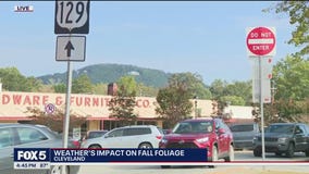 Previewing Fall Foliage: When to Expect Color in North Georgia