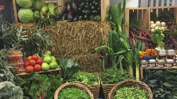 South Chicago farm puts on Harvest Festival with Halloween festivities