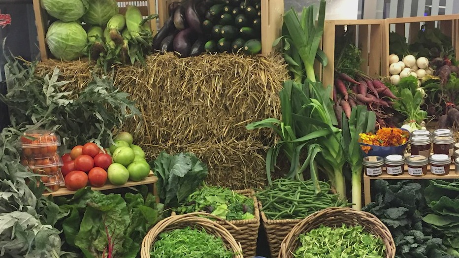 South Chicago farm puts on Harvest Festival with Halloween festivities