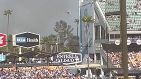 View of brushfire from Dodger Stadium