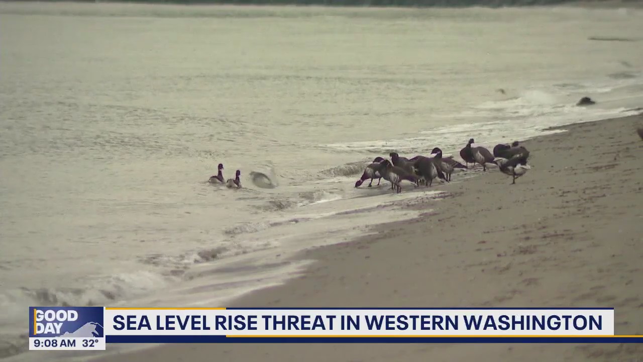 Sea level rise threat in western Washington