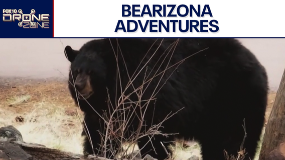 Bearizona celebrates birthday | Drone Zone