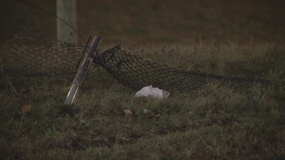 Detroit robbery victim runs onto freeway after being shot