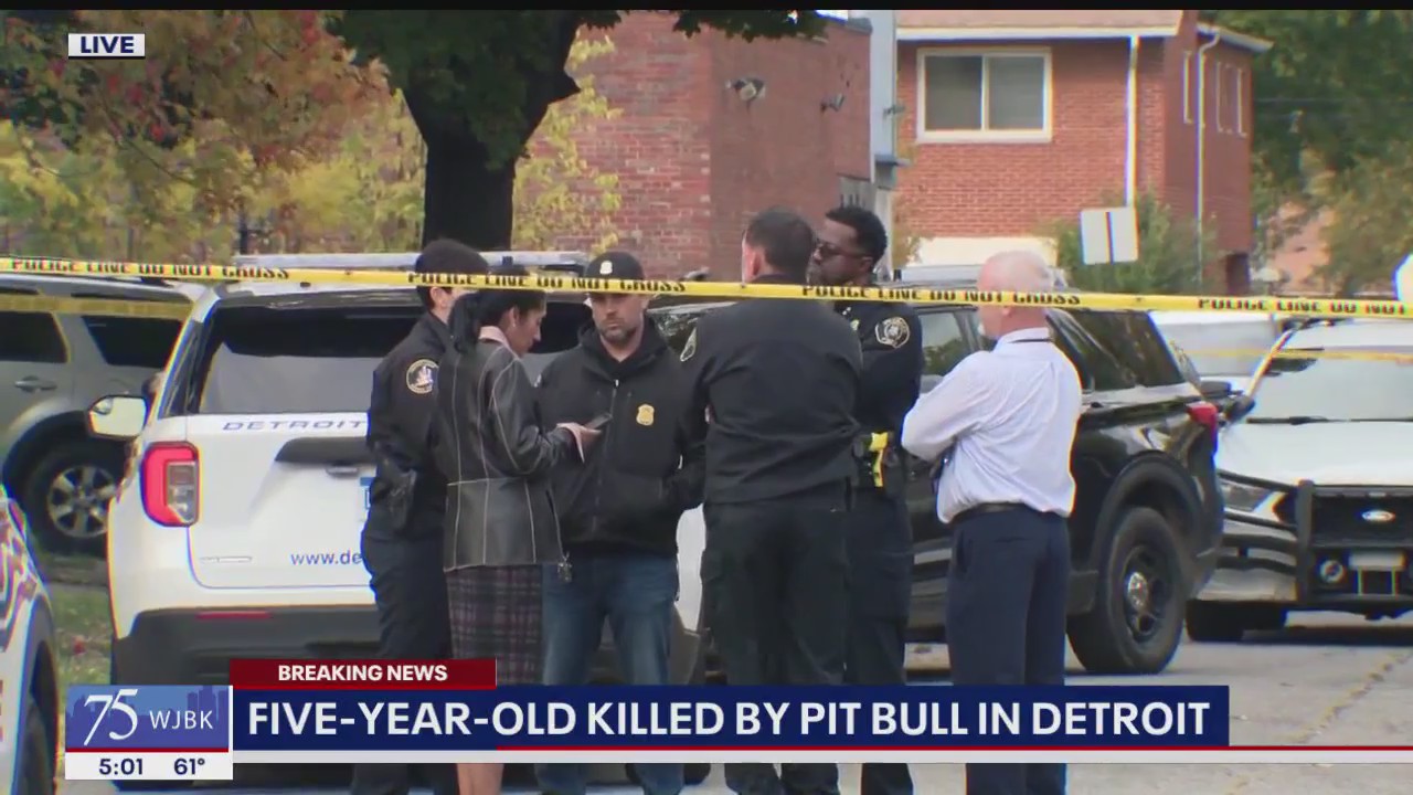 Four-year-old boy mauled to death by loose dog in Detroit