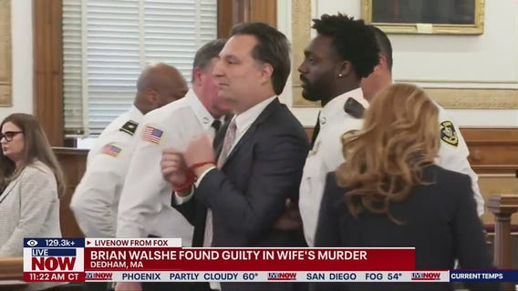 Brian Walshe guilty of killing, dismembering wife Ana