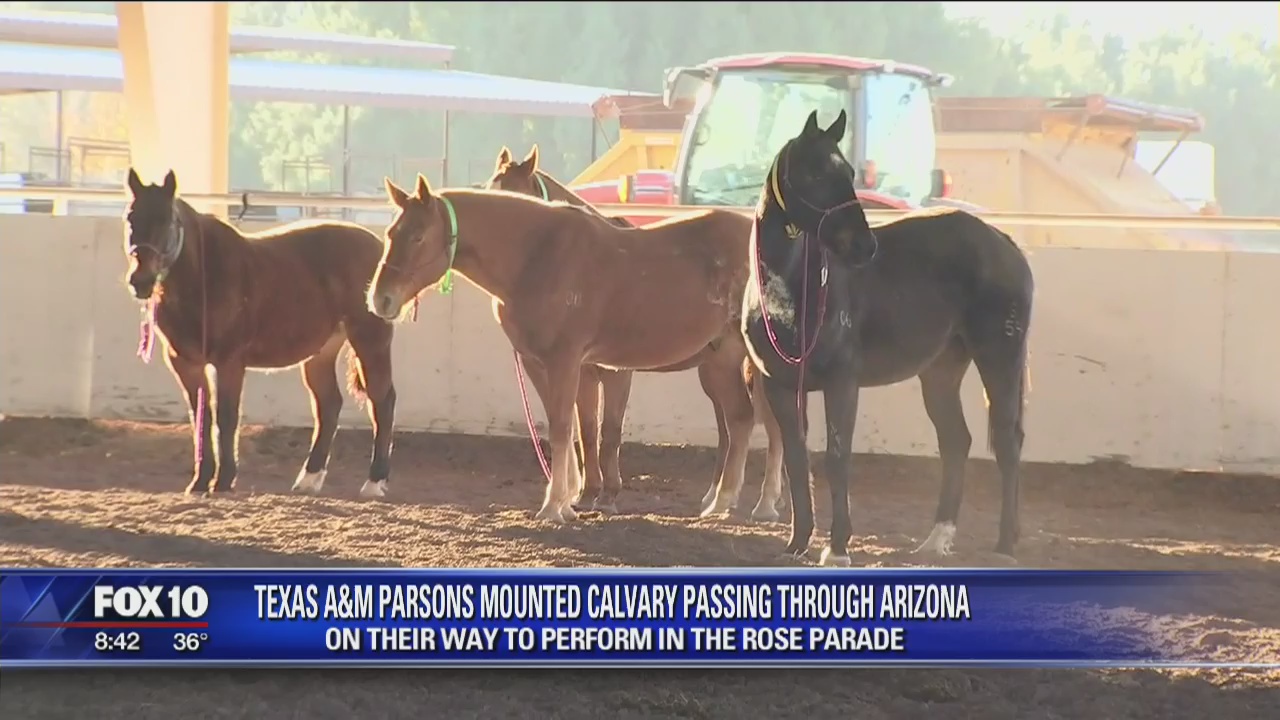 Texas A&M Parsons Mounted Cavalry