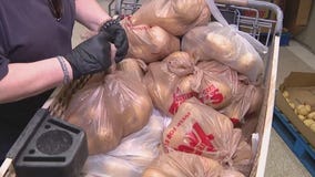 Volunteers fill food boxes for seniors and families