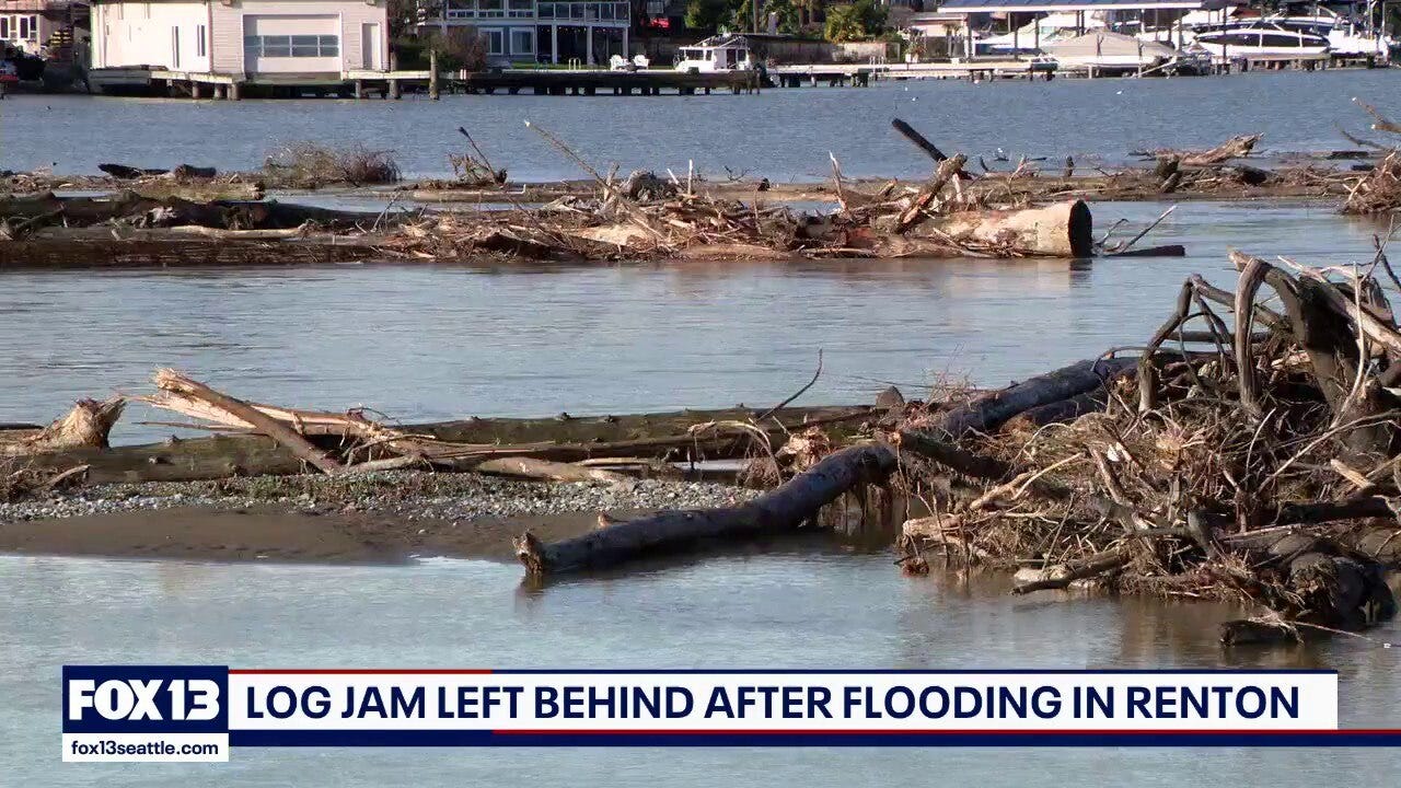 'Graveyard' of debris clogs Lake Washington near Renton after storms