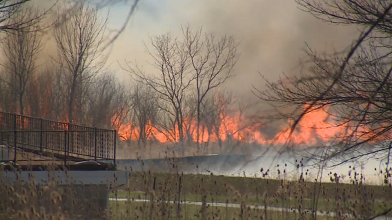 Drone analysis shows 230 acres burned in 'Marcy Road' wildfire