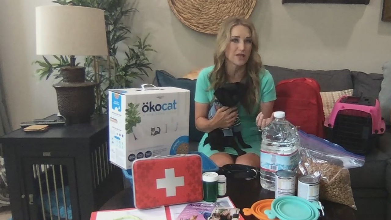 Preparing for disasters with your pet