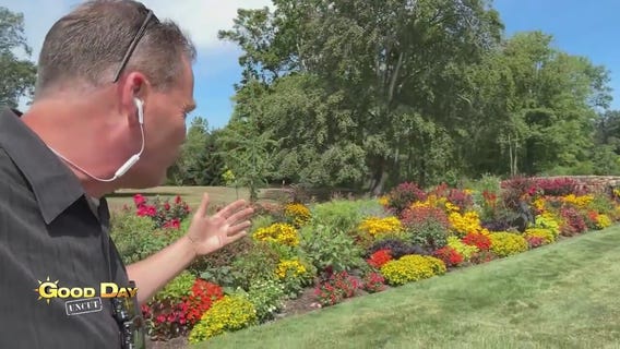 Good Day Uncut: 2024 Annual Burpee Open at Fordhook Farm