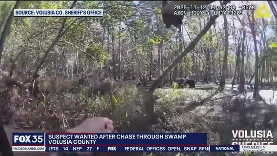 Suspect wanted after leading deputies on chase through Volusia County swamp