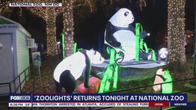 'Zoolights' returns to the Smithsonian National Zoo