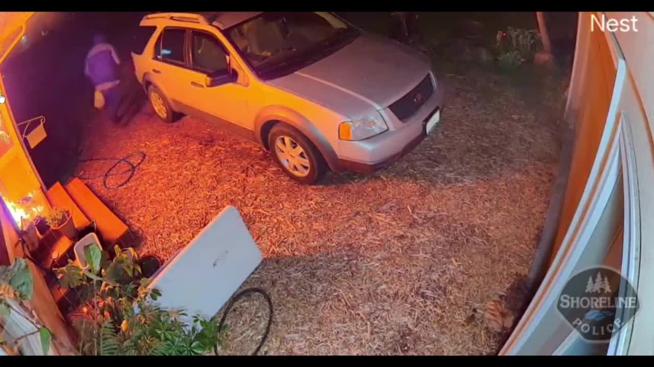 Shoreline arson suspect caught on camera