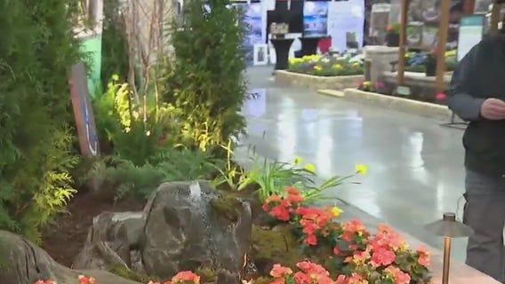 Water and ponds display