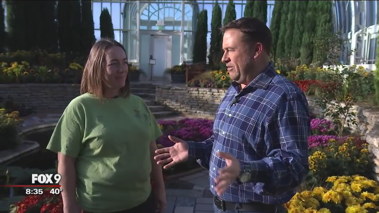 Garden Guy: Fall Flower Show