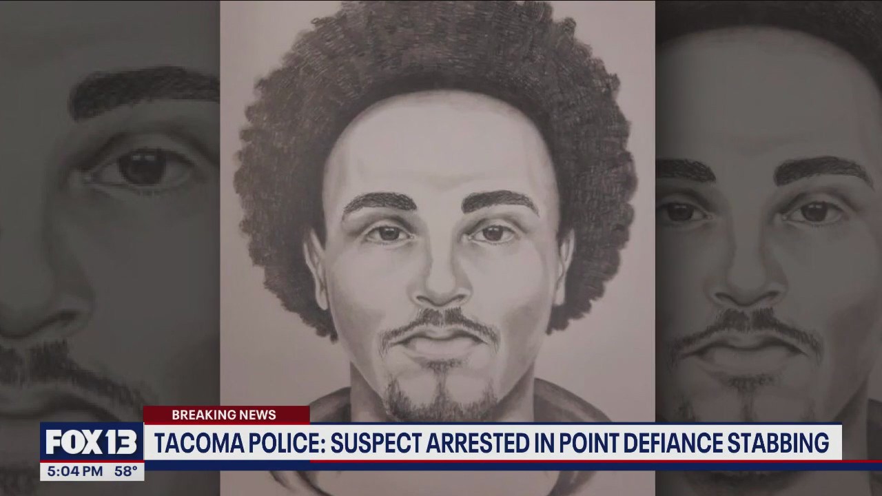 Suspect in Point Defiance stabbing arrested