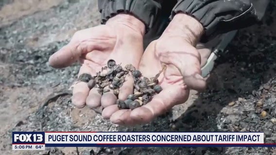 Puget Sound coffee roasters concerned about Trump tariffs