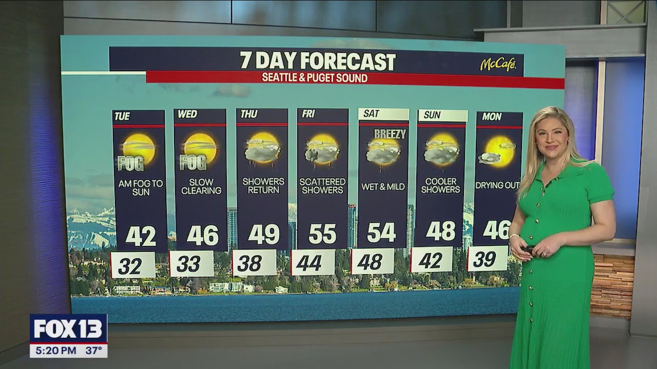 Chilly overnight with more dense fog into Tuesday