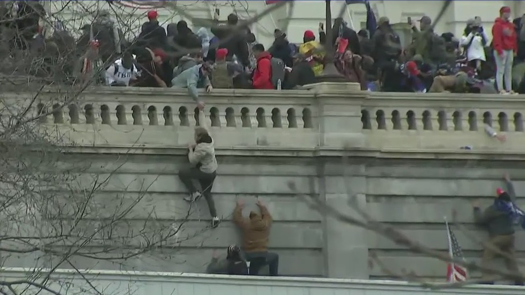 Making The Case: Criminal consequences