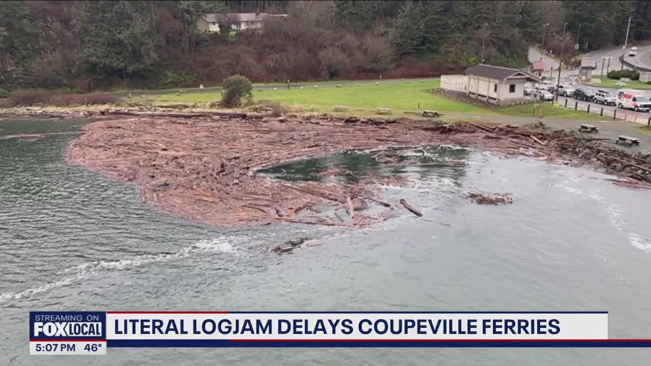 Logjam delays Coupeville ferries