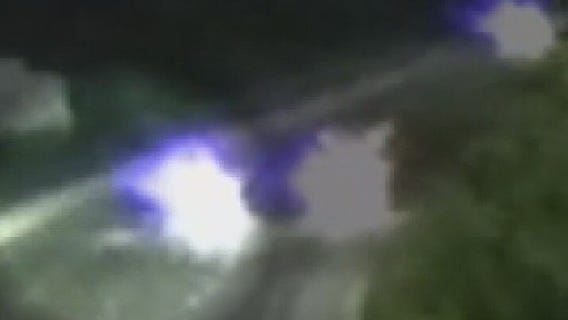 Bear killed in Hale Interchange, tow driver recalls scene