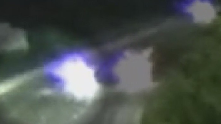 Bear killed in Hale Interchange, tow driver recalls scene