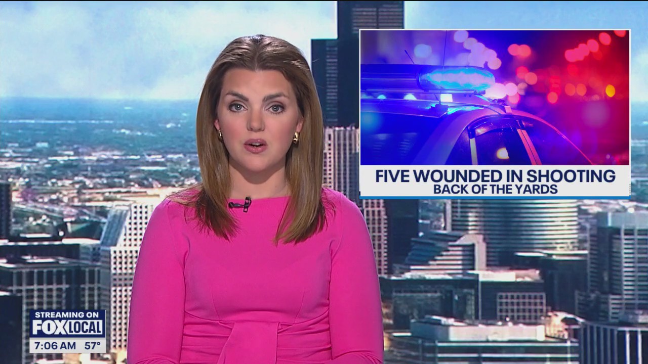 5 shot, including suspect, on Chicago's South Side during altercation