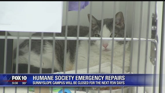 Arizona Humane Society temporarily closing Sunnyslope Campus for emergency repairs