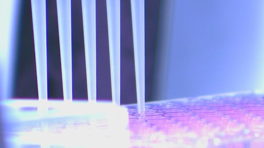 Will Kemp sign off on biomarker testing?