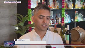 Americas 250th - Vienna