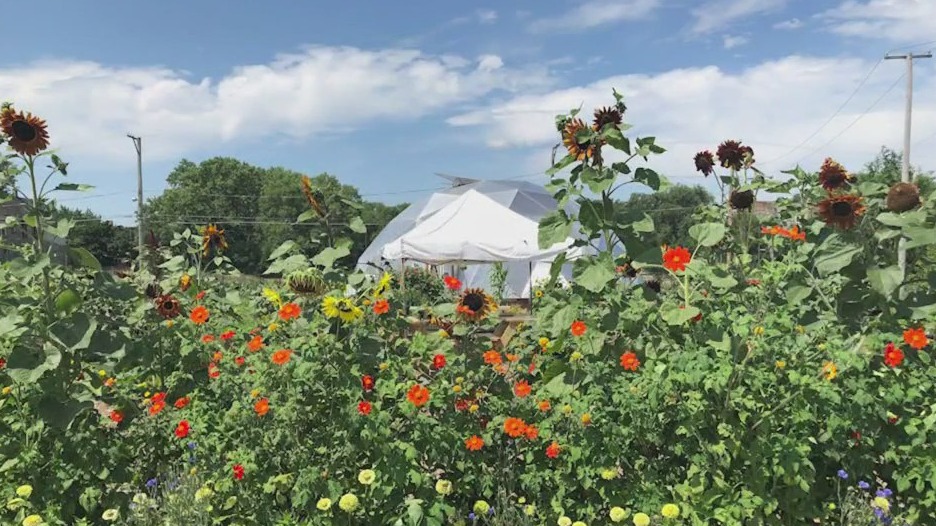 Urban Growers Collective celebrates 5 year anniversary of providing fresh food to community