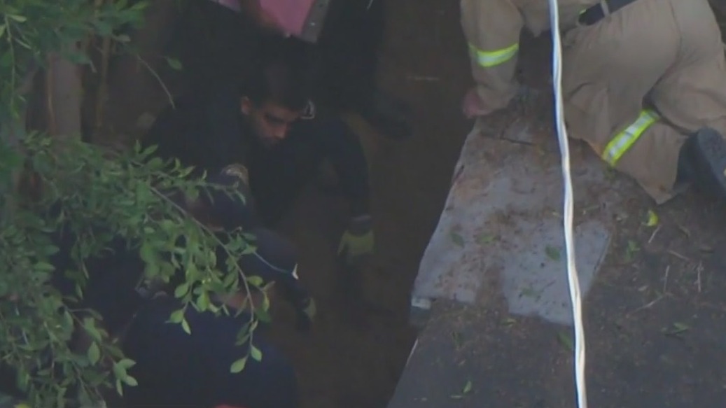 Missing man from June 2023 found dead months later