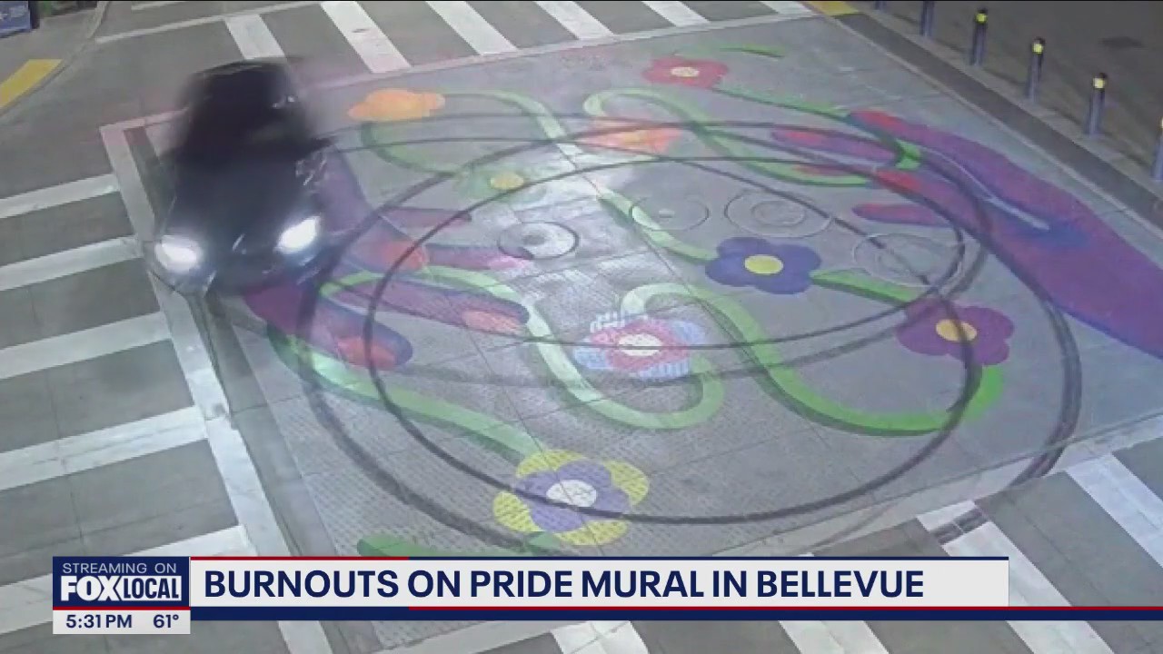 Bellevue Police seek pride mural vandal