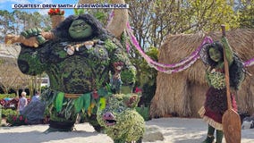 Flower & Garden Festival in full swing at EPCOT