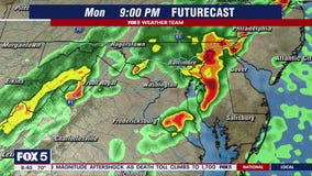 Severe weather, gusty winds could cut cherry blossom season short